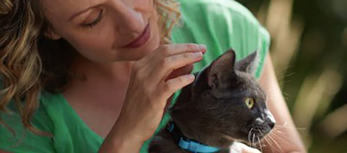 Picture of How to help remove fleas on your cat | NZ